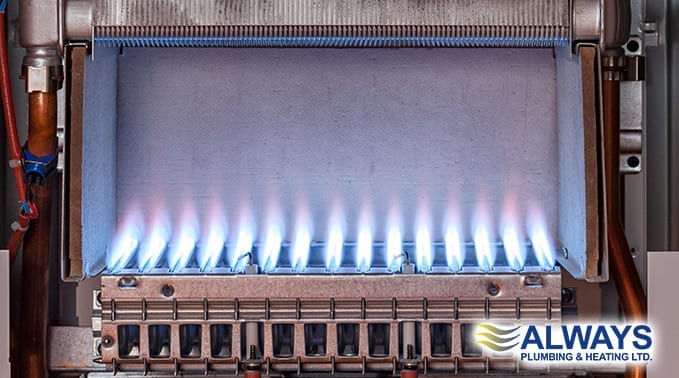 Winter Boiler Maintenance by 2 at Always Plumbing & Heating Winter Boiler Maintenance Image