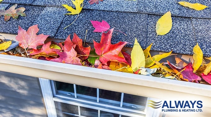 Fall DIY Maintenance for Edmonton Homes by 2 at Always Plumbing & Heating Fall DIY Maintenance for Edmonton Homes Image
