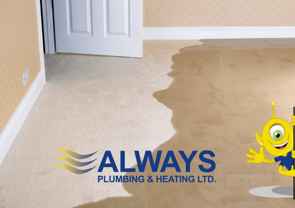 How to Prevent Basement Flooding by 2 at Always Plumbing & Heating How to Prevent Basement Flooding Image