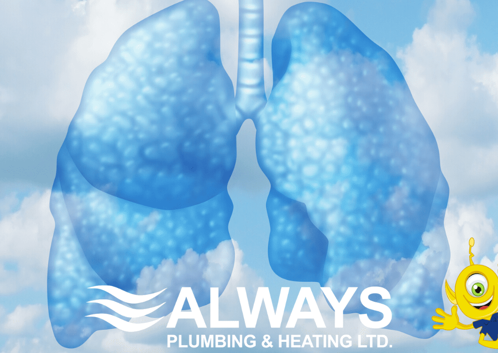 Is Your Home Making You Sick? by 2 at Always Plumbing & Heating Is Your Home Making You Sick? Image