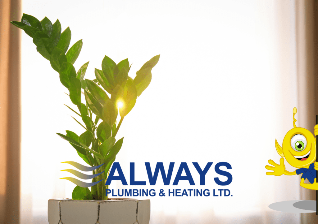 9 Ways to Raise Humidity in Your Home by 2 at Always Plumbing & Heating 9 Ways to Raise Humidity in Your Home Image