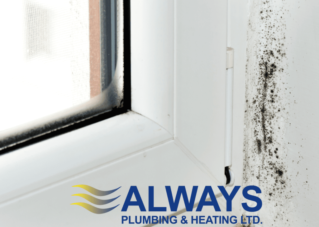 Controlling Household Condensation in Winter by 2 at Always Plumbing & Heating Controlling Household Condensation in Winter Image