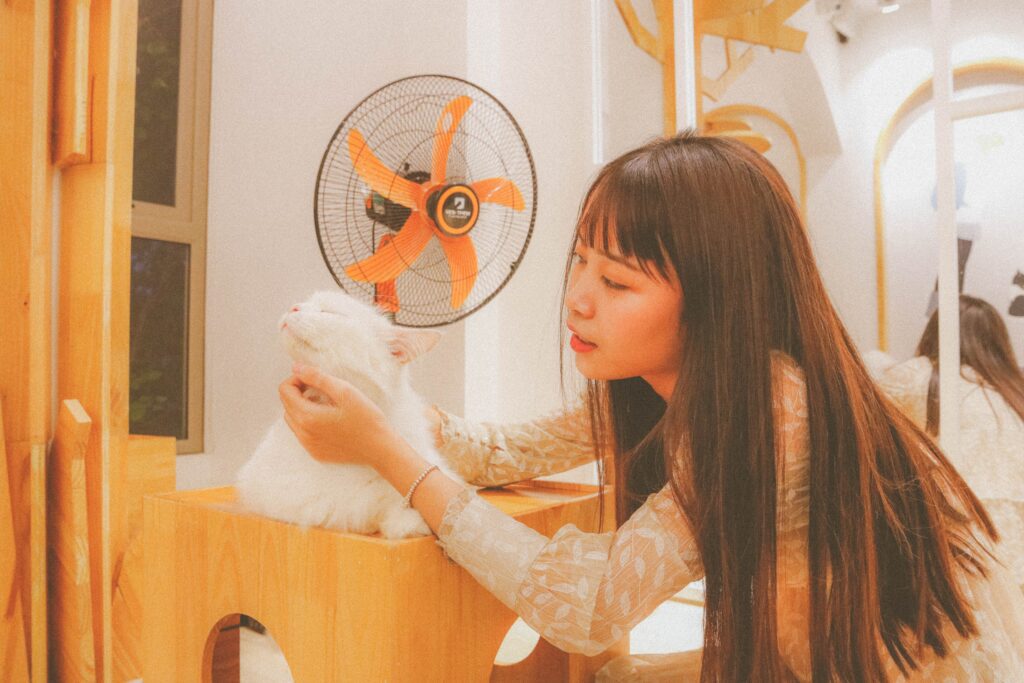 Air Conditioner Maintenance: When is the Best Time to Tune Up My AC Unit? by 2 at Always Plumbing & Heating Air Conditioner Maintenance: When is the Best Time to Tune Up My AC Unit? Image